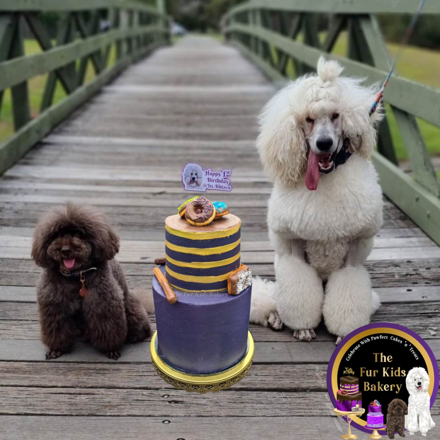 2 tier Rainbow 8" 10"