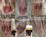 Organic healing balm for dogs. Hot Spot cream. Hot Spot balm. Dog wound care. Anti-inflammatory dog balm - The Fur Kids Bakery Logo