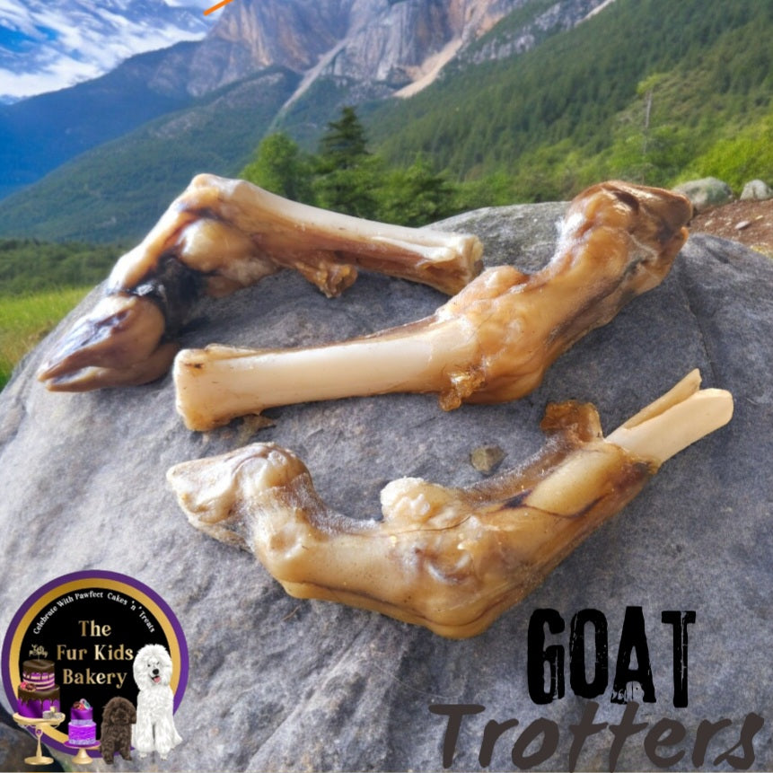 Australian Goat Trotter dog treat, slowly air dried in a HACCP, Safe Food & FDA accredited facility, chemical free, high protein, long-lasting chew, supports dental and joint health.