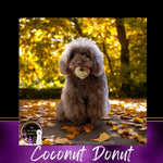 Donuts "Coconut"- Donut forget these!