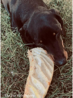 Australian Emu Pelvis dog treat, slowly air dried in a HACCP, Safe Food & FDA accredited facility, chemical free, high protein, lean novel protein, supports joint and dental health.