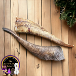 Goat Horns with marrow