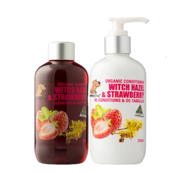 Organic Witch Hazel & Strawberry - Smiley Dog