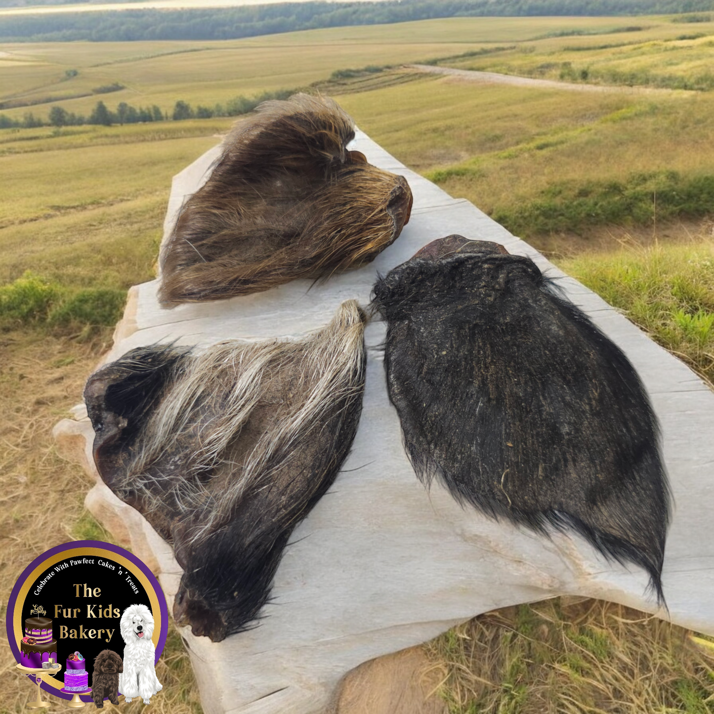Australian Wild Boar Ears with fur dog treat, slowly air dried in a HACCP, Safe Food & FDA accredited facility, chemical free, high protein, natural dewormer, supports dental health.