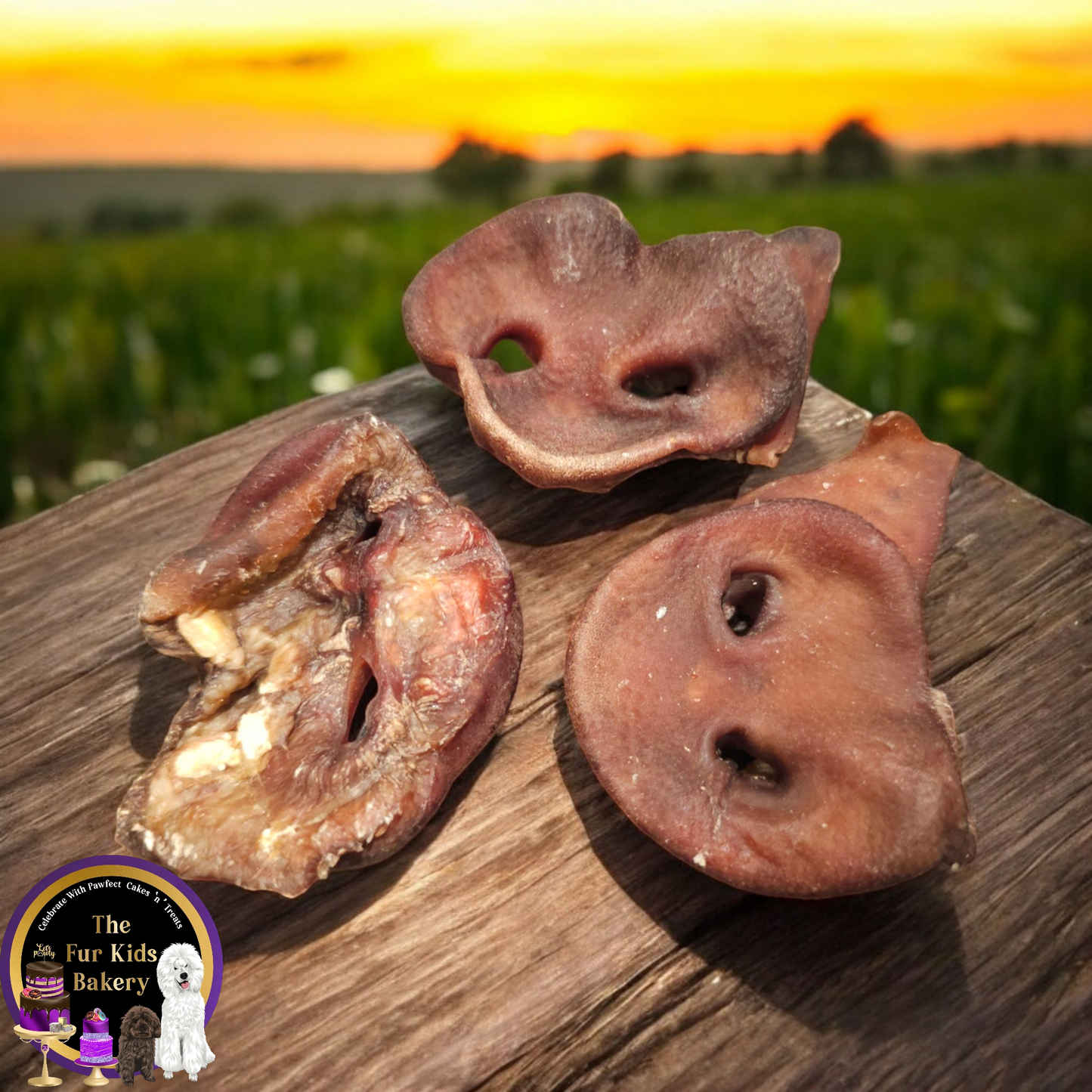 Australian Pig Snout dog treat, slowly air dried in a HACCP, Safe Food & FDA accredited facility, chemical free, high protein, crunchy, supports dental and chewing health.