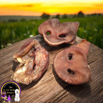 Australian Pig Snout dog treat, slowly air dried in a HACCP, Safe Food & FDA accredited facility, chemical free, high protein, crunchy, supports dental and chewing health.