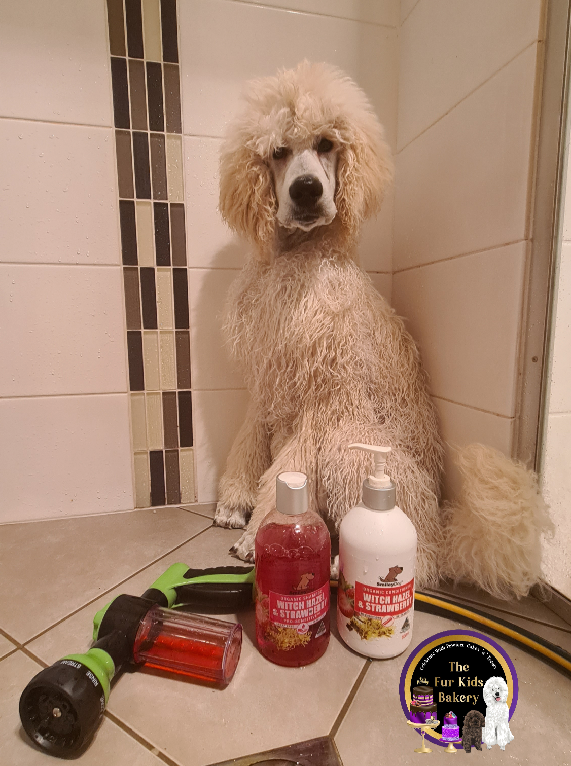 Dog soap shampoo grooming gun with Smiley Dog shampoo and conditioner with shower attachment