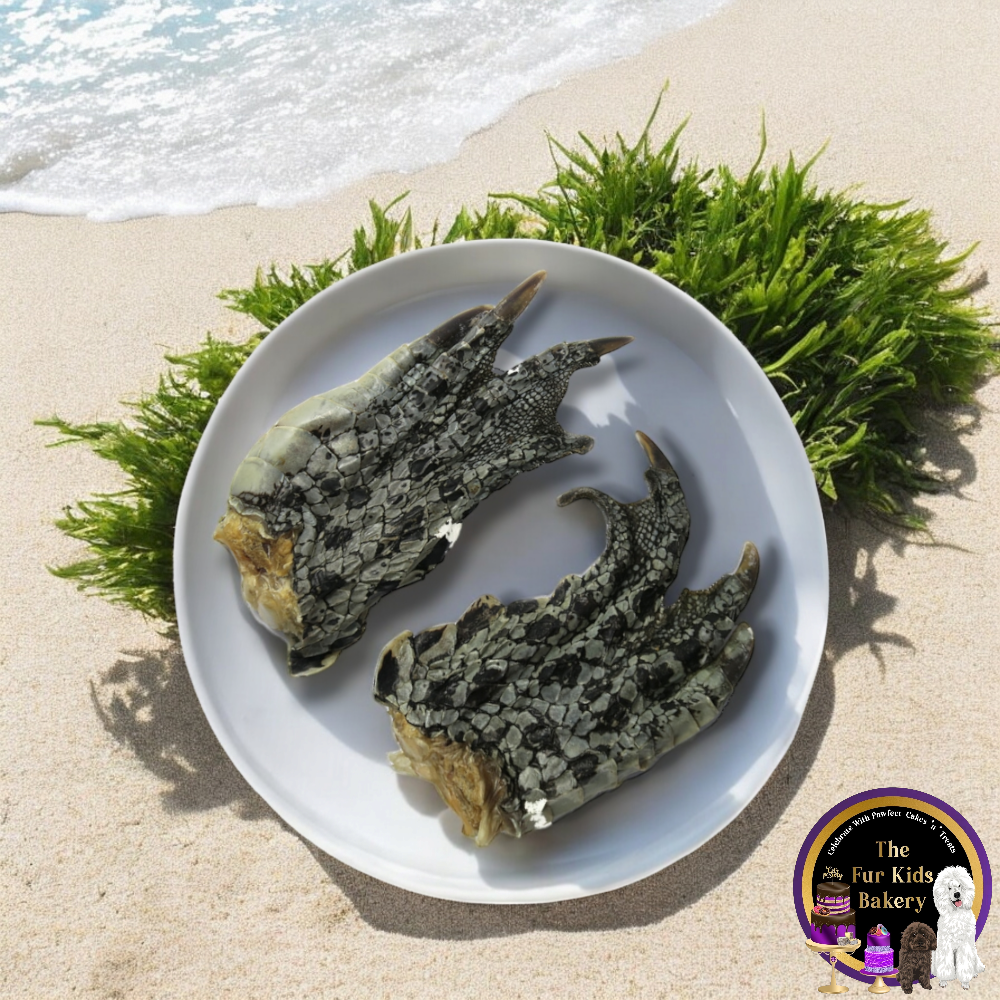 Australian Crocodile Feet dog treat, slowly air dried in a HACCP, Safe Food & FDA accredited facility, chemical free, high protein, crunchy, supports dental health.