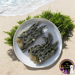 Australian Crocodile Feet dog treat, slowly air dried in a HACCP, Safe Food & FDA accredited facility, chemical free, high protein, crunchy, supports dental health.