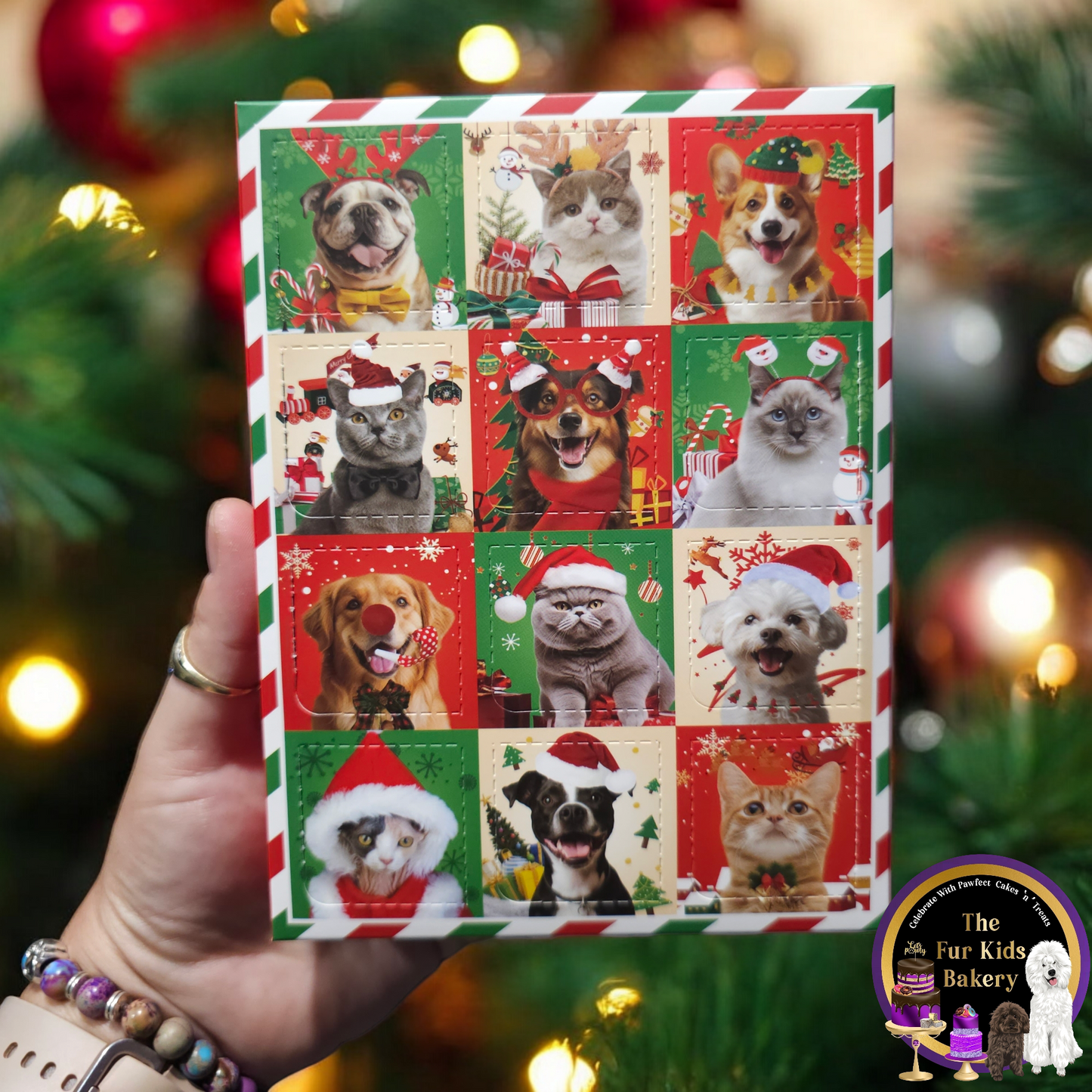 Dog advent calender with natural dog treats. The Fur Kids Bakery Logo.