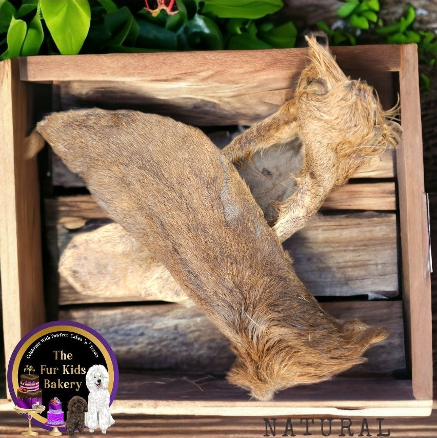 Goat Ear with Fur