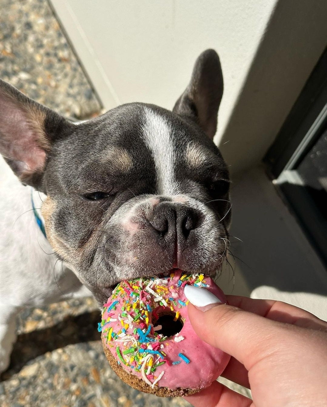 Donuts "Coconut"- Donut forget these!