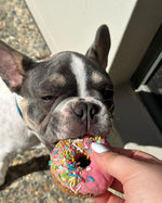 Donuts "Coconut"- Donut forget these!