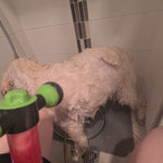 Dog soap shampoo grooming gun with Smiley Dog shampoo and conditioner with shower attachment