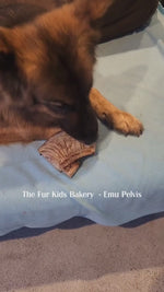 Australian Emu Pelvis dog treat, slowly air dried in a HACCP, Safe Food & FDA accredited facility, chemical free, high protein, lean novel protein, supports joint and dog dental health.