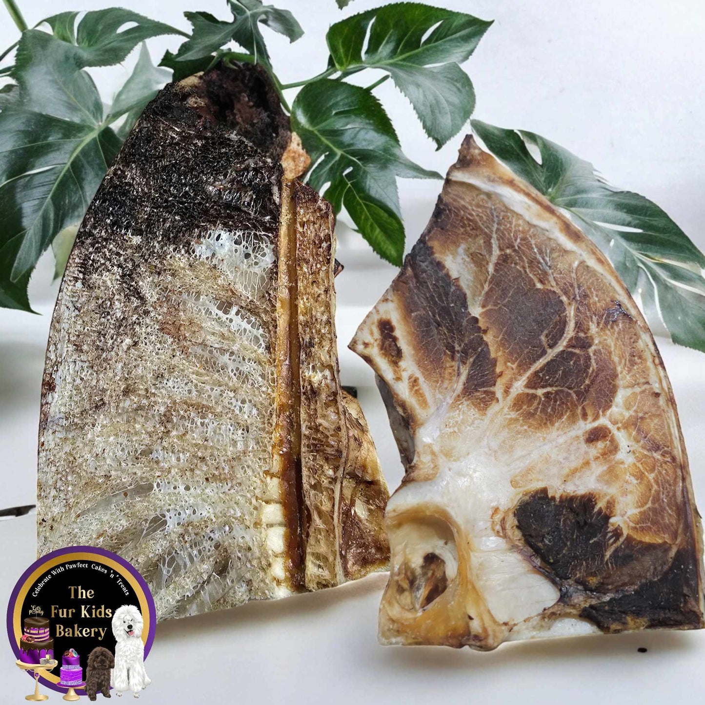 Australian Emu Pelvis dog treat, slowly air dried in a HACCP, Safe Food & FDA accredited facility, chemical free, high protein, lean novel protein, supports joint and dental health.