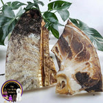 Australian Emu Pelvis dog treat, slowly air dried in a HACCP, Safe Food & FDA accredited facility, chemical free, high protein, lean novel protein, supports joint and dental health.