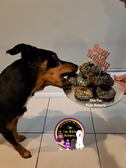 Doggy Donuts, Dog Donuts that are healthy not just for fun. Gluten & Grain Free. No added sugar, coconut sprinkles NOT 100 & 100s