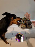 Doggy Donuts, Dog Donuts that are healthy not just for fun. Gluten & Grain Free. No added sugar, coconut sprinkles NOT 100 & 100s