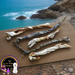 Australian Mackerel Spirals dog treat, slowly air dried in a HACCP, Safe Food & FDA accredited facility, chemical free, high protein, rich in omega-3, supports skin, coat, and joint health.