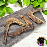 Duck Wings