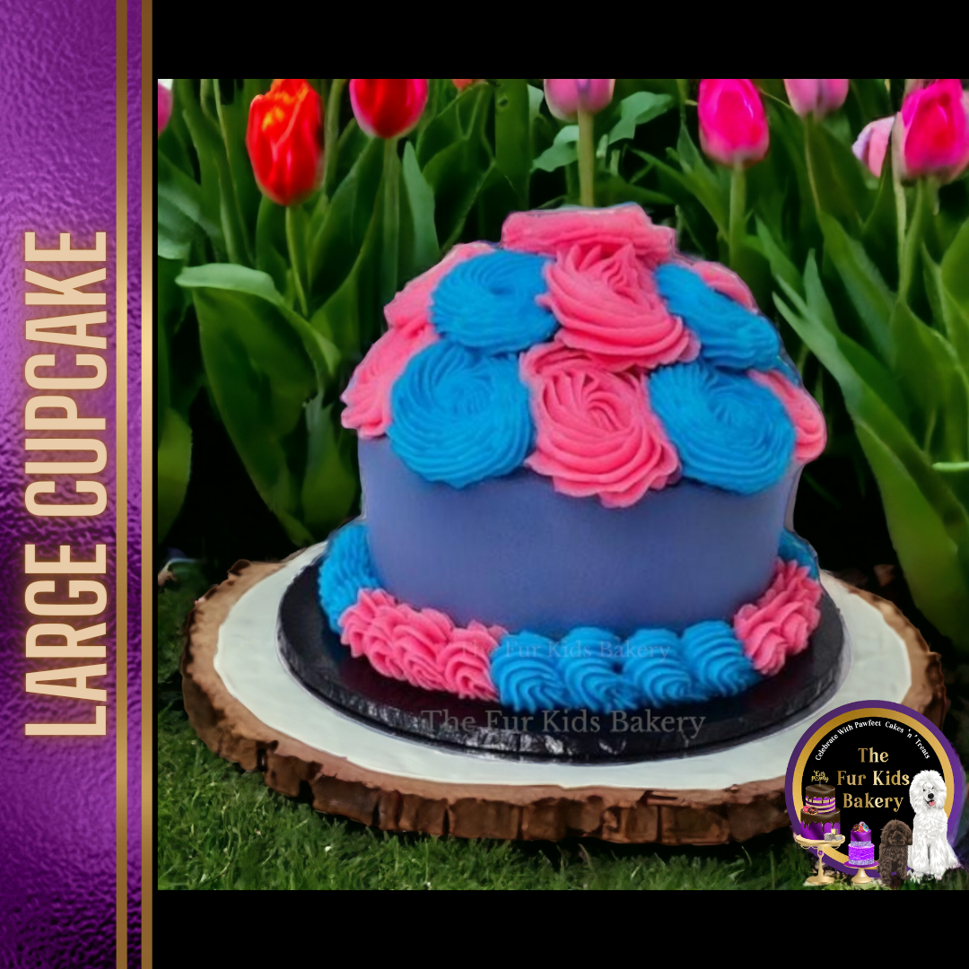 Large Cupcake