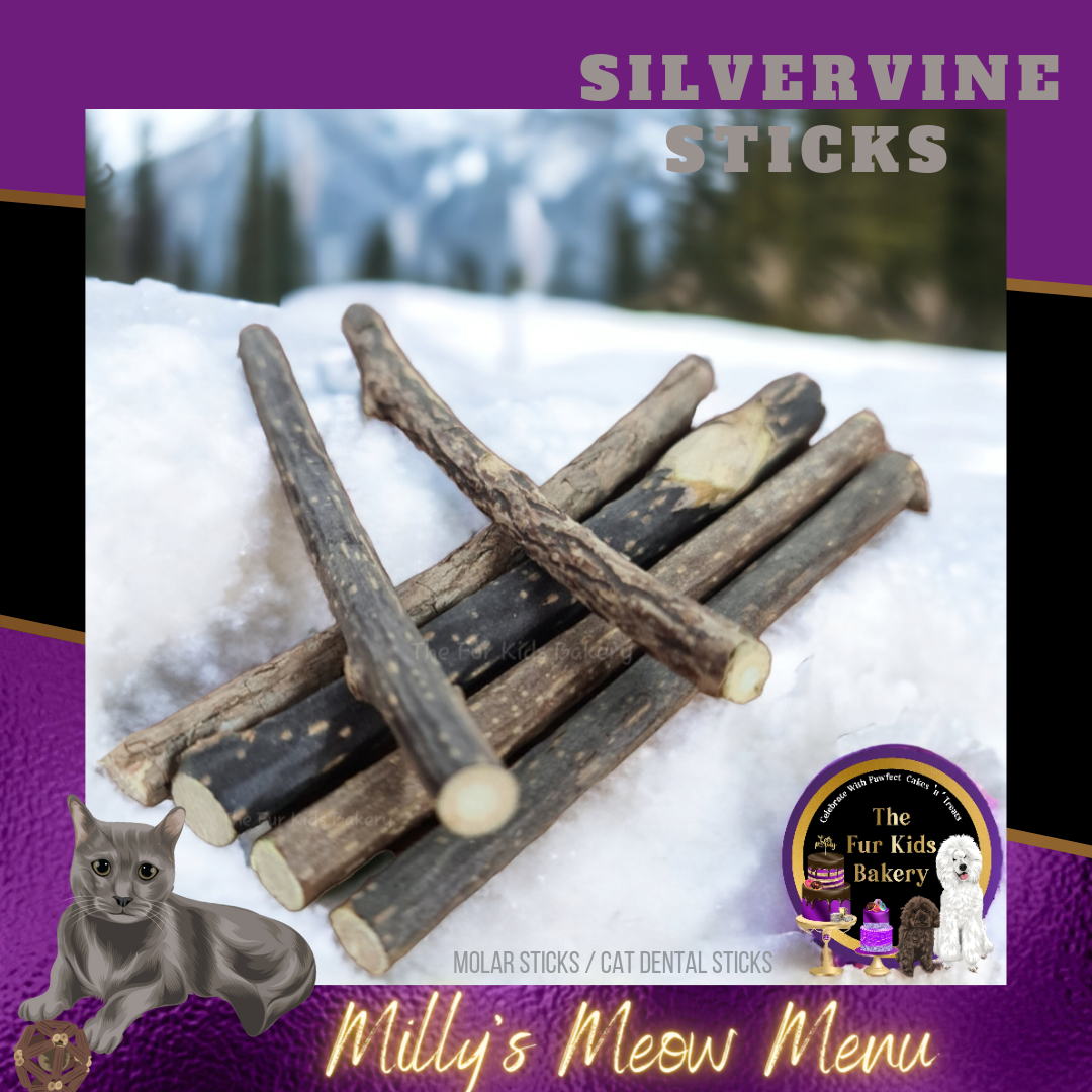 Silvervine 2025 dental sticks