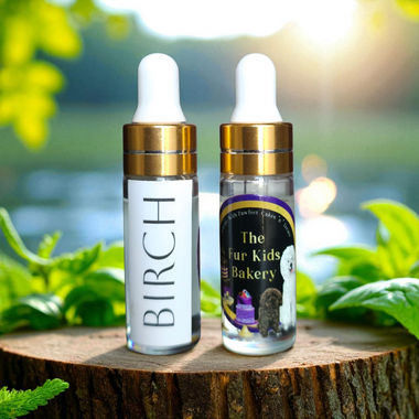 Sweet Birch Essential Oil (betula lenta L) – ANKC Scent Work, Nose Work & Field Work