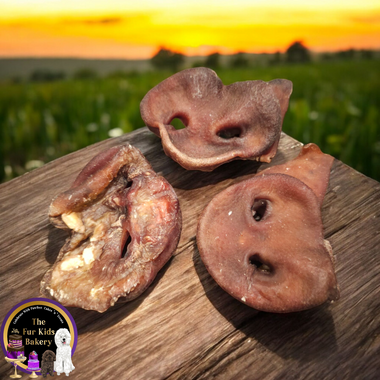 Pork Snouts ( Pig Snouts )