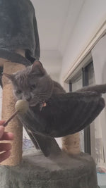 Nip Sticks