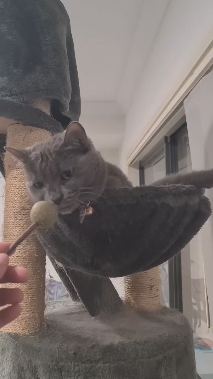 Nip Sticks