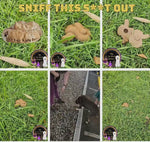 Scent Work Vessels - Nose Work Hides - Scent Work Hides Decoys
