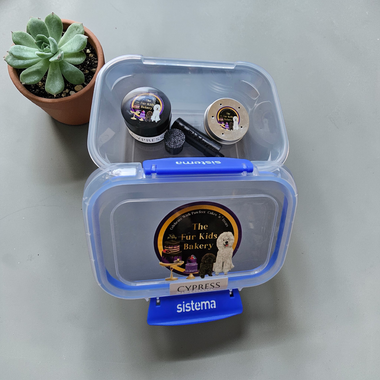 Scent Work Starter Kit - Nose Work Starter Kit