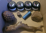 Scent Work Vessels - Nose Work Hides - Scent Work Hides Decoys