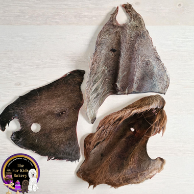 Cow Ear Fur On (Without scroll)