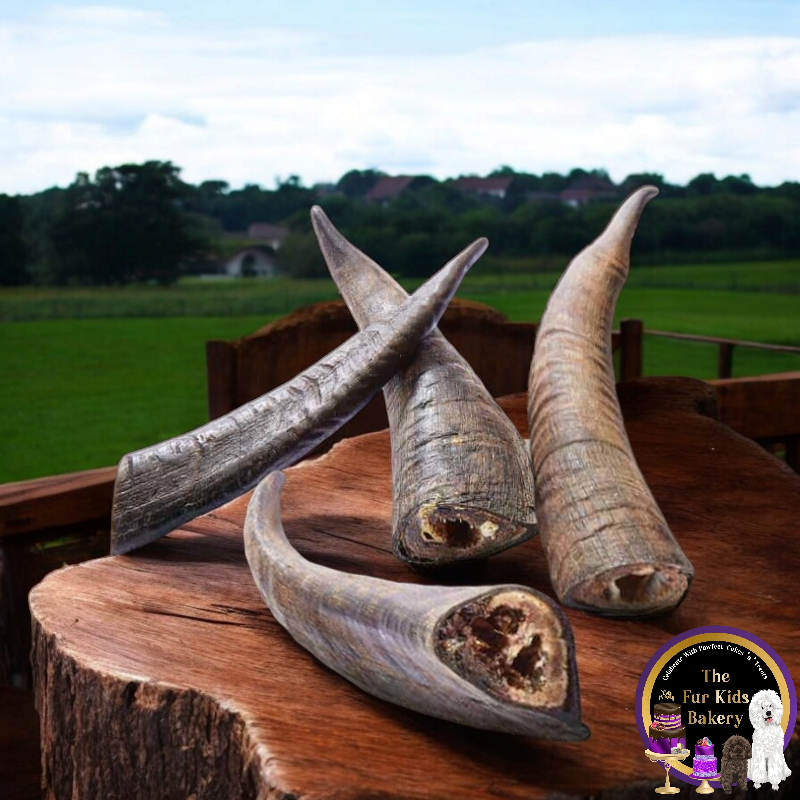 Goat Horns with marrow