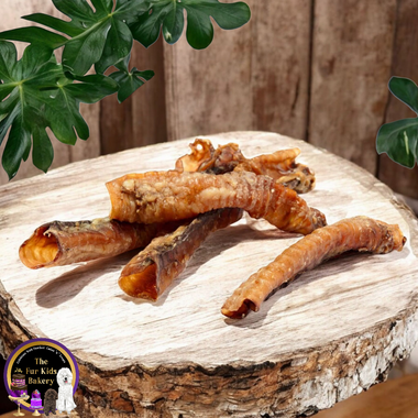 Lamb Tubes - Trachea